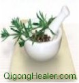 Western herbs according to Traditional Chinese Medicine