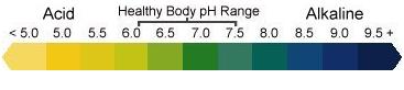 pH Range