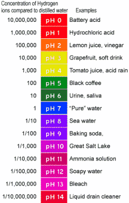 pH Scale